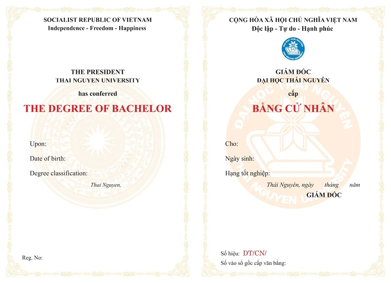 Vì sao nên học liên thông đại học ngành Tiếng Trung Quốc