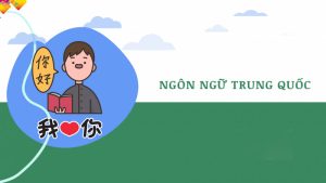 Cơ hội việc làm cho cử nhân đại học Ngôn ngữ Trung